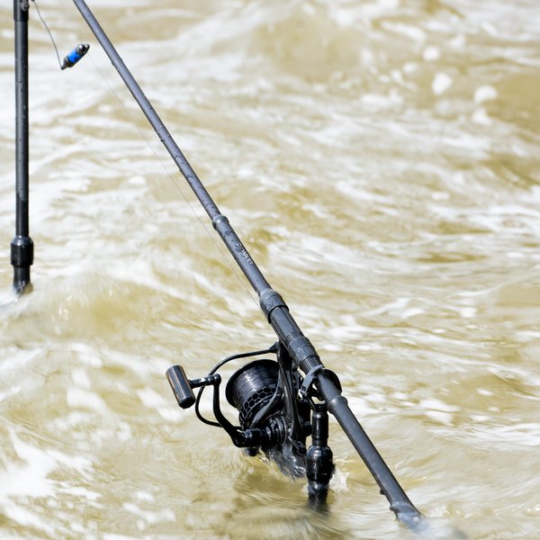 Nash The Shrinker - Adventure Fishing Online
