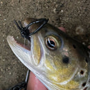 Toppies Waspius 24mm