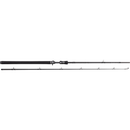 Westin W3 Jerkbait-T 3rd 1.98m/ 20-80g