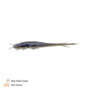 Zeck Barsch Alarm Shaky Sneaker 6cm